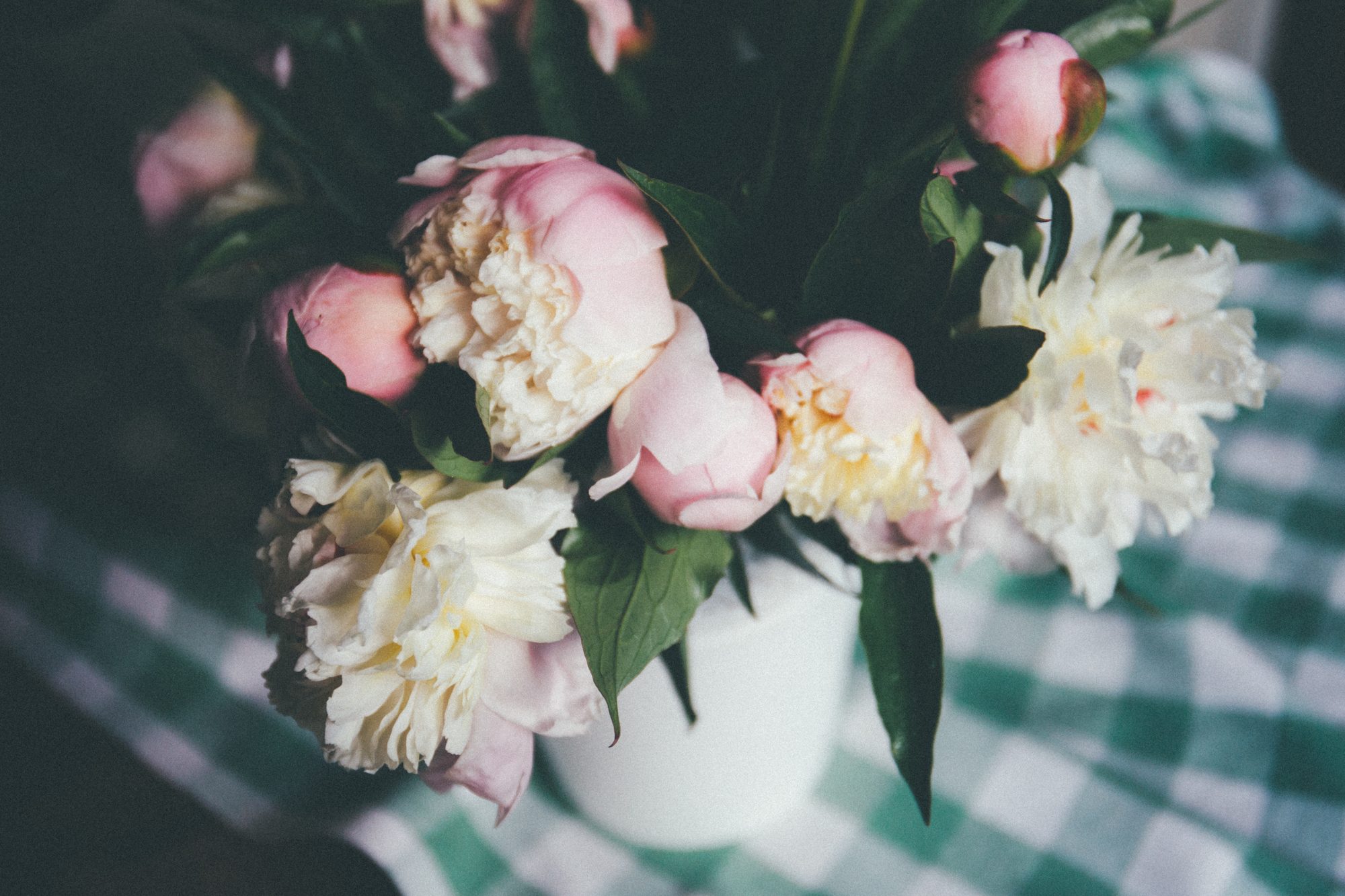 Austin Womb Service — holistic midwife and birth doula care in Austin, Texas