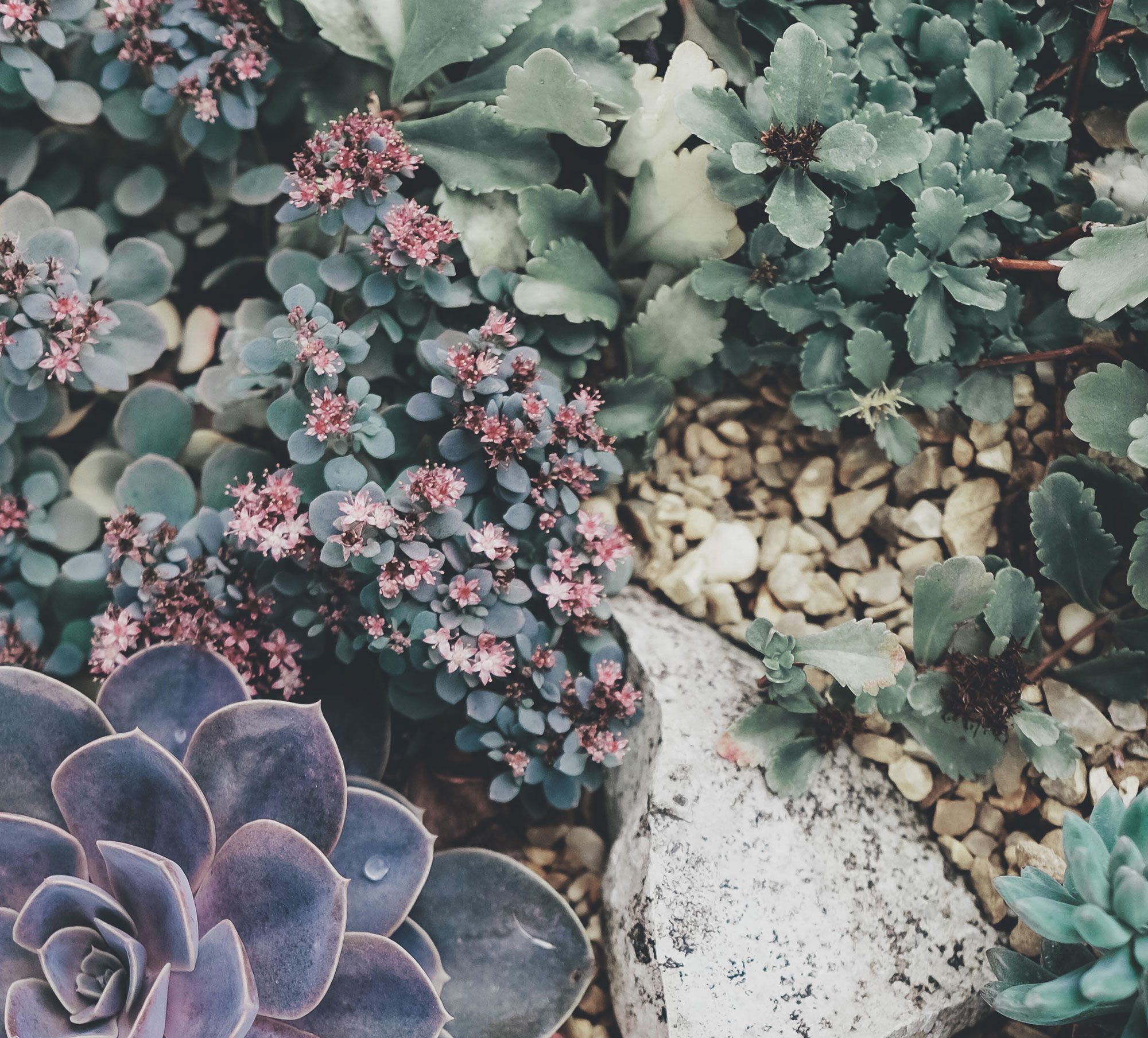 Austin Womb Service — holistic midwife and birth doula care in Austin, Texas